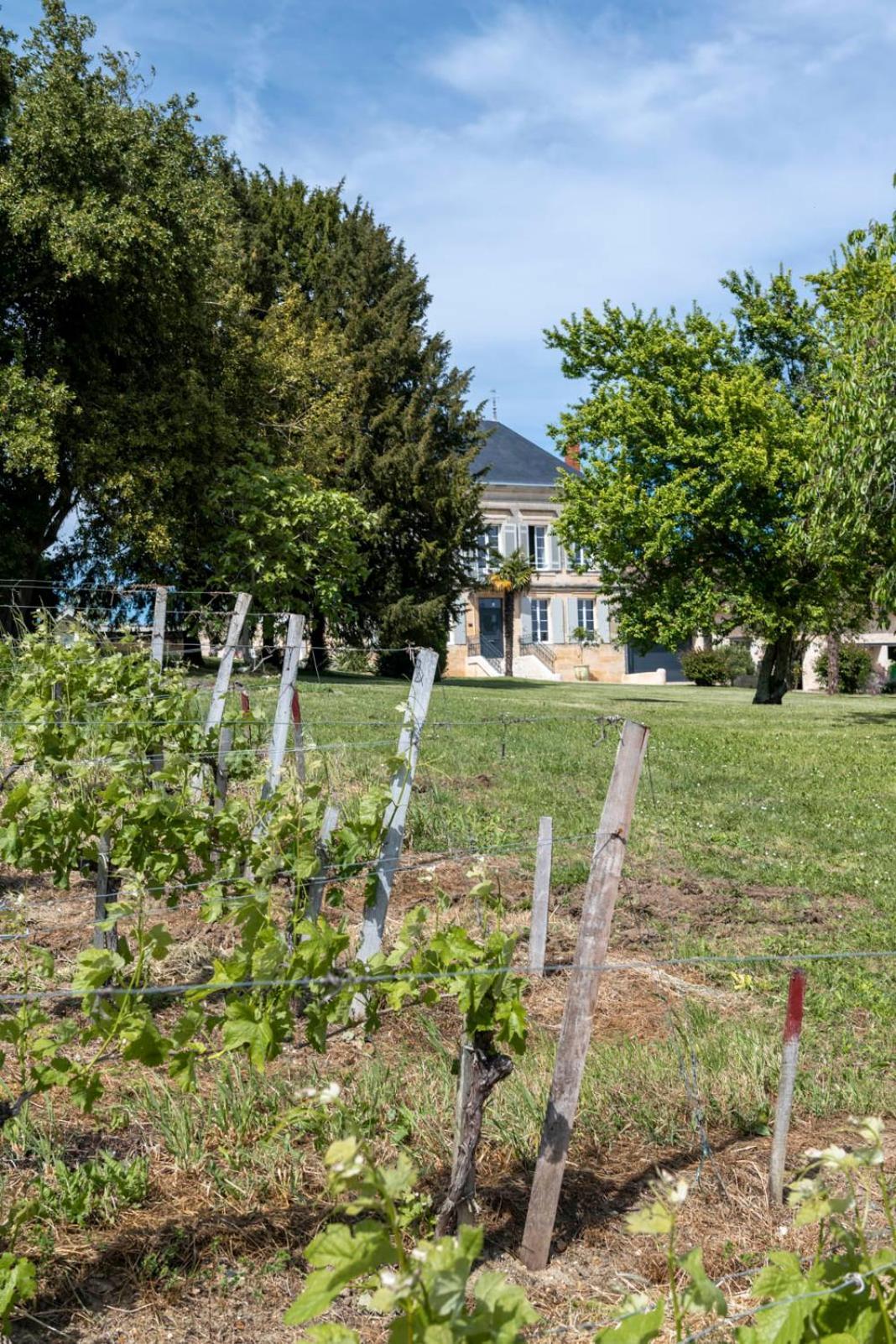 Maison Groleau Mombrier Kültér fotó